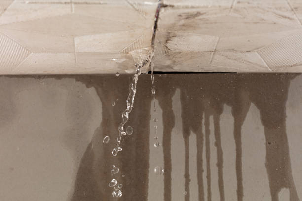 Professional Burst Pipe Cleanup technician working in Fennville, MI